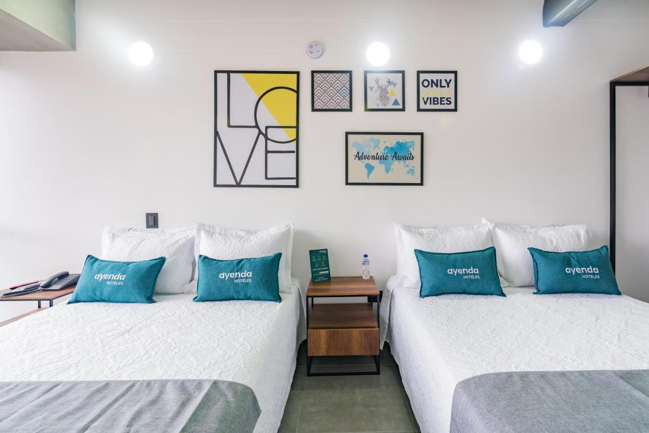 Loft 32 Living 3*